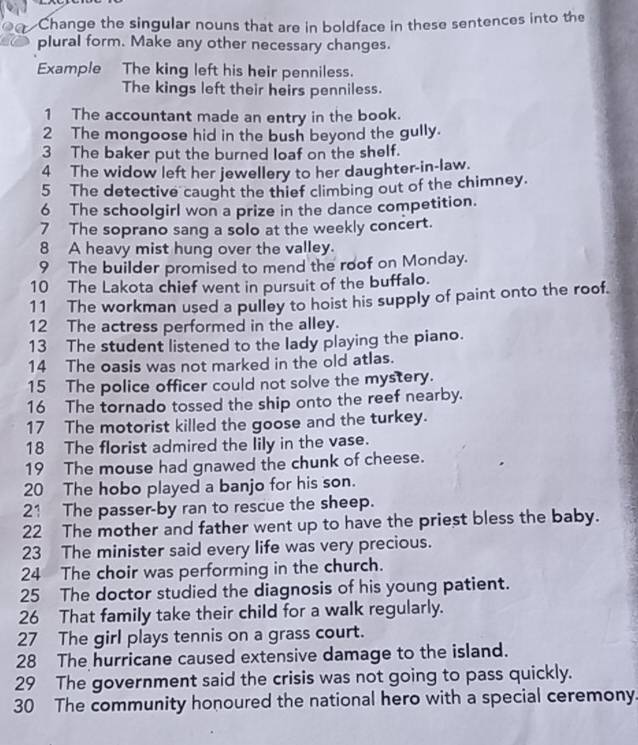 Change the singular nouns that are in boldface in these sentences into the 
plural form. Make any other necessary changes. 
Example The king left his heir penniless. 
The kings left their heirs penniless. 
1 The accountant made an entry in the book. 
2 The mongoose hid in the bush beyond the gully. 
3 The baker put the burned loaf on the shelf. 
4 The widow left her jewellery to her daughter-in-law. 
5 The detective caught the thief climbing out of the chimney. 
6 The schoolgirl won a prize in the dance competition. 
7 The soprano sang a solo at the weekly concert. 
8 A heavy mist hung over the valley. 
9 The builder promised to mend the roof on Monday. 
10 The Lakota chief went in pursuit of the buffalo. 
11 The workman used a pulley to hoist his supply of paint onto the roof. 
12 The actress performed in the alley. 
13 The student listened to the lady playing the piano. 
14 The oasis was not marked in the old atlas. 
15 The police officer could not solve the mystery. 
16 The tornado tossed the ship onto the reef nearby. 
17 The motorist killed the goose and the turkey. 
18 The florist admired the lily in the vase. 
19 The mouse had gnawed the chunk of cheese. 
20 The hobo played a banjo for his son. 
21 The passer-by ran to rescue the sheep. 
22 The mother and father went up to have the priest bless the baby. 
23 The minister said every life was very precious. 
24 The choir was performing in the church. 
25 The doctor studied the diagnosis of his young patient. 
26 That family take their child for a walk regularly. 
27 The girl plays tennis on a grass court. 
28 The hurricane caused extensive damage to the island. 
29 The government said the crisis was not going to pass quickly. 
30 The community honoured the national hero with a special ceremony.