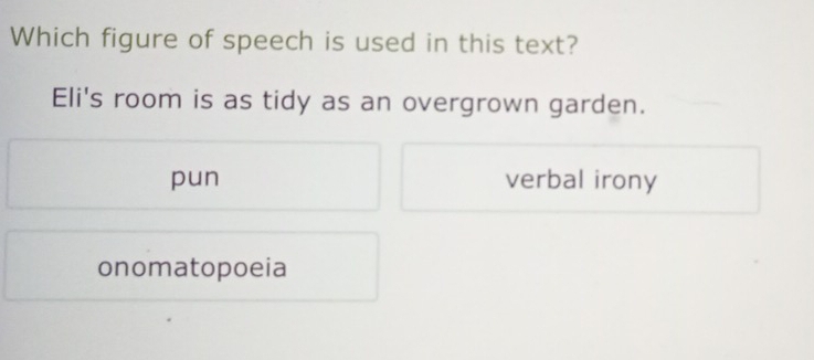 Which figure of speech is used in this text?
Eli's room is as tidy as an overgrown garden.
pun verbal irony
onomatopoeia