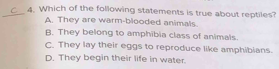 Which of the following statements is true about reptiles?
A. They are warm-blooded animals.
B. They belong to amphibia class of animals.
C. They lay their eggs to reproduce like amphibians.
D. They begin their life in water.