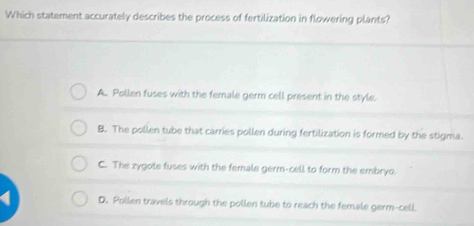 Which statement accurately describes the process of fertilization in flowering plants?
A. Pollen fuses with the female germ cell present in the style.
B. The pollen tube that carries pollen during fertilization is formed by the stigma.
C. The zygote fuses with the female germ-cell to form the embryo.
D. Pollen travels through the pollen tube to reach the female germ-cell.