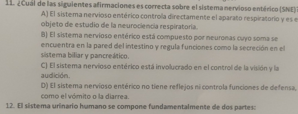 ¿Cuál de las siguientes afirmaciones es correcta sobre el sistema nervioso entérico (SNE)?
A) El sistema nervioso entérico controla directamente el aparato respiratorio y es el
objeto de estudio de la neurociencia respiratoria.
B) El sistema nervioso entérico está compuesto por neuronas cuyo soma se
encuentra en la pared del intestino y regula funciones como la secreción en el
sistema biliar y pancreático.
C) El sistema nervioso entérico está involucrado en el control de la visión y la
audición.
D) El sistema nervioso entérico no tiene reflejos ni controla funciones de defensa,
como el vómito o la diarrea.
12. El sistema urinario humano se compone fundamentalmente de dos partes: