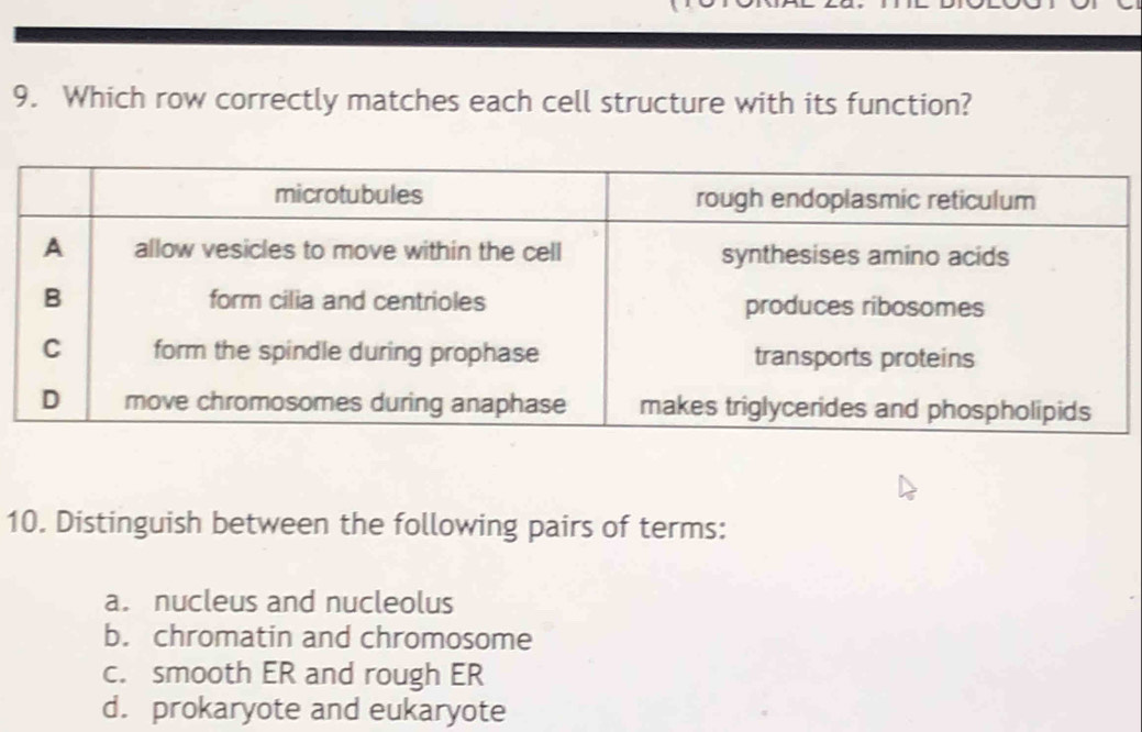 Which row correctly matches each cell structure with its function?
10. Distinguish between the following pairs of terms:
a. nucleus and nucleolus
b. chromatin and chromosome
c. smooth ER and rough ER
d. prokaryote and eukaryote