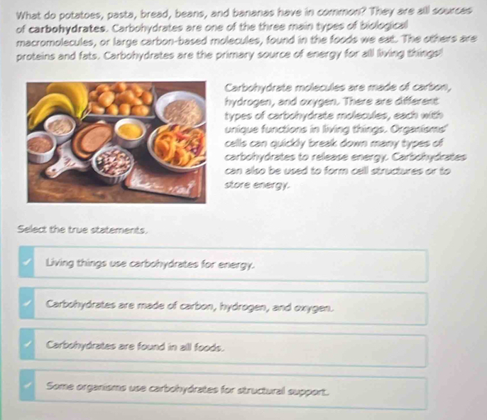 What do potatoes, pasta, bread, beans, and bananas have in common? They are all sources
of carbohydrates. Carbohydrates are one of the three main types of biological
macromolecules, or large carbon-based molecules, found in the foods we eat. The others are
proteins and fats. Carbohydrates are the primary source of energy for all living things!
Carbohydrate molecules are made of carton,
hydrogen, and oxygen. There are different
types of carbohydrate molecules, each with
unique functions in living things. Organtsms
cells can quickly break down many types of
carbohydrates to release energy. Carbohydrates
can also be used to form cell structures or to
store energy.
Select the true statements.
Living things use carbohydrates for energy.
Carbohydrates are made of carbon, hydrogen, and oxygen.
Carbshydrates are found in all foods.
Some organisms use carbohydrates for structural support.