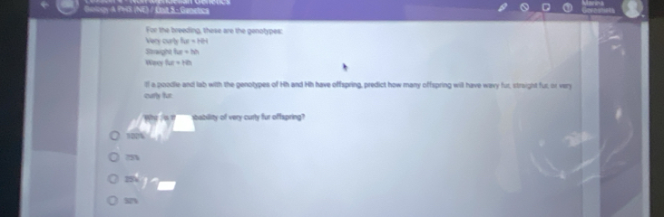 Gology A PHS (NE) / Ént S- Genetics
For the breeding, these are the genotypes:
Very curly har=104
Straught har+hh
Wary f(x+8h
lf a poodle and lab with the genotypes of Hh and Hh have offspring, predict how many offspring will have wavy fur, straight fur, or very
curly fur
. S T sbability of very curty fur offspring?
100%
75
25
52%