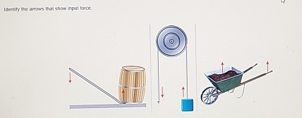 Identify the arrows that show inpul force.