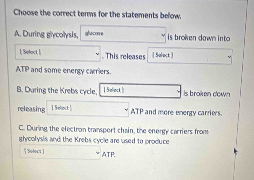 Choose the correct terms for the statements below. 
A. During glycolysis, glucose is broken down into 
[ Select ] . This releases [ Select ] 
ATP and some energy carriers. 
B. During the Krebs cycle, [ Select ] is broken down 
releasing [ Select ] ATP and more energy carriers. 
C. During the electron transport chain, the energy carriers from 
glycolysis and the Krebs cycle are used to produce 
[ Select ] 
ATP.