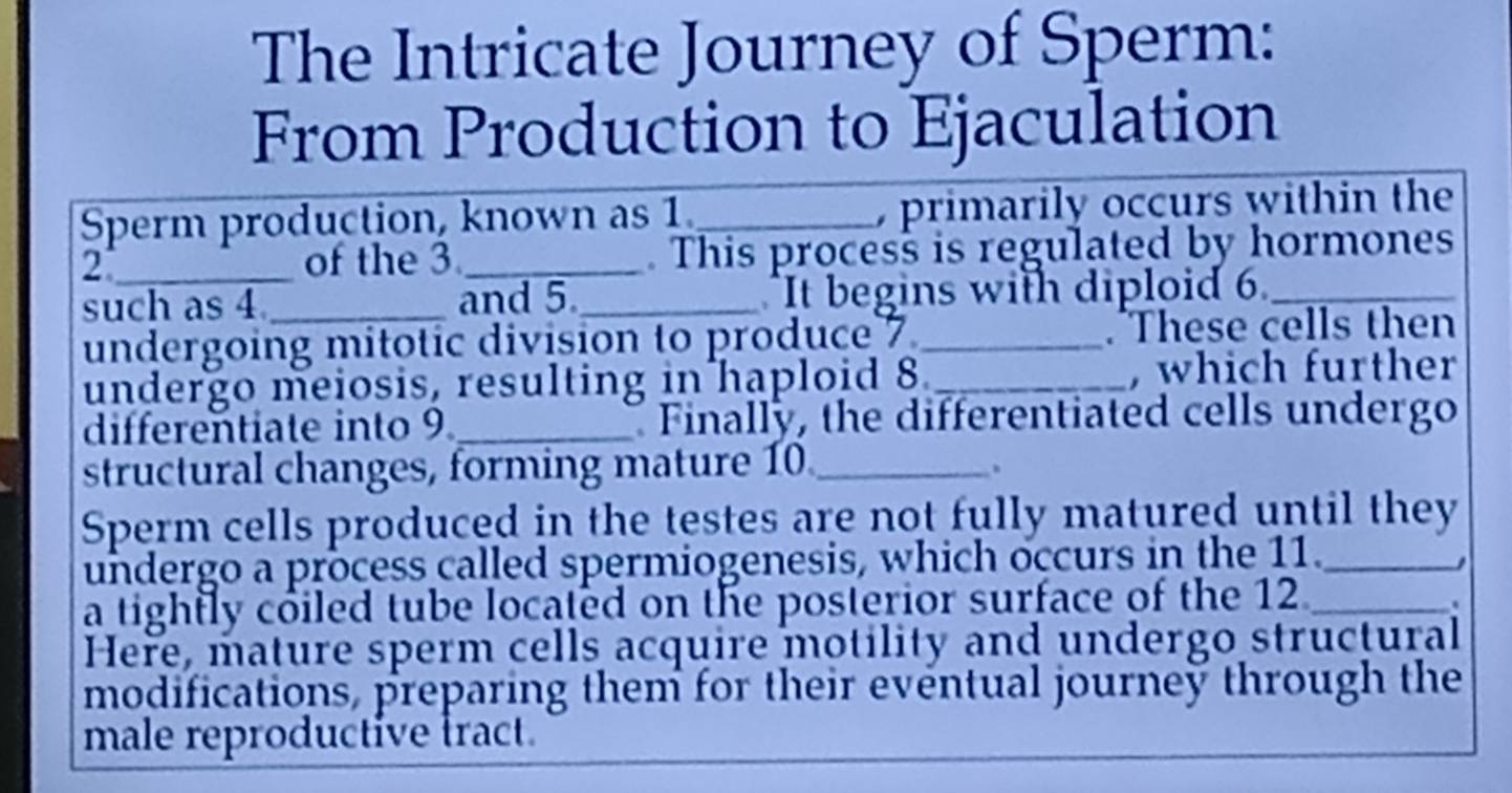 The Intricate Journey of Sperm: 
From Production to Ejaculation 
Sperm production, known as 1._ , primarily occurs within the 
2_ of the 3._ . This process is regulated by hormones 
such as 4 _ and 5._ It begins with diploid 6._ 
undergoing mitotic division to produce 7_ These cells then 
undergo meiosis, resulting in haploid 8._ , which further 
differentiate into 9_ Finally, the differentiated cells undergo 
structural changes, forming mature 10._ 
. 
Sperm cells produced in the testes are not fully matured until they 
undergo a process called spermiogenesis, which occurs in the 11._ 
a tightly coiled tube located on the posterior surface of the 12._ 
. 
Here, mature sperm cells acquire motility and undergo structural 
modifications, preparing them for their eventual journey through the 
male reproductive tract.