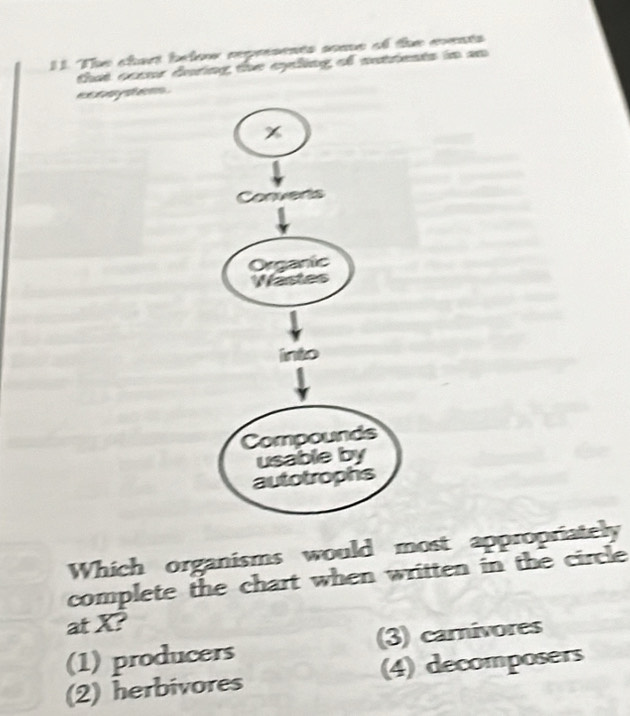 The chant belonw reprsents aoaue of te mmnts
that coaur during the cyeling of nattents in an 
e x ten ysf eoms .
χ
e 
Organic
Wastes
into
Compounds
usable by
autotrophs
Which organisms would most appropriately
complete the chart when written in the circle
at X?
(1) producers (3) carnivores
(2) herbivores (4) decomposers