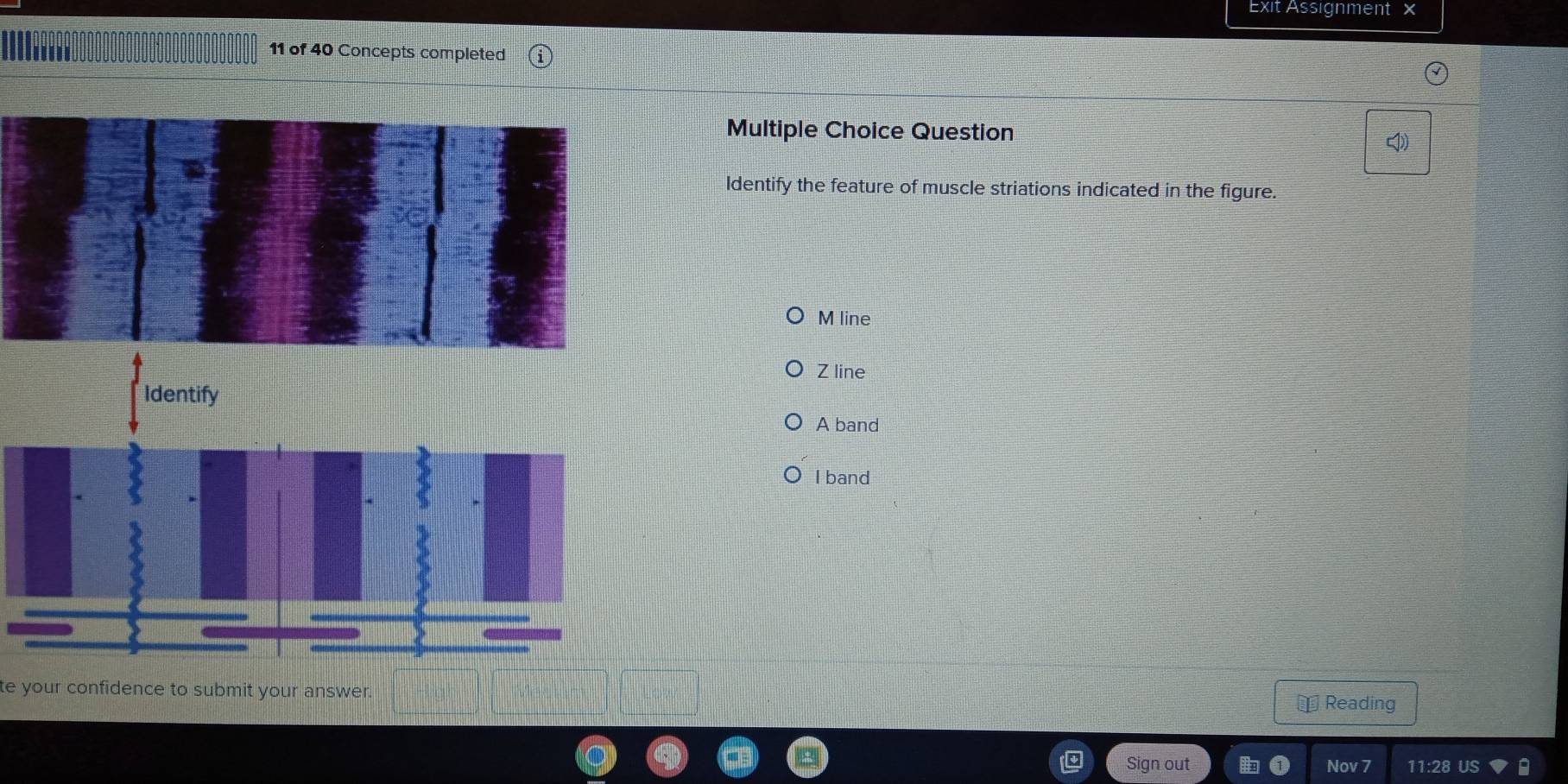 Exit Assignment x
11 of 40 Concepts completed
Multiple Choice Question
I
Identify the feature of muscle striations indicated in the figure.
M line
Z line
Identify
A band
I band
te your confidence to submit your answer.
Reading
Sign out Nov 7 11:28 US