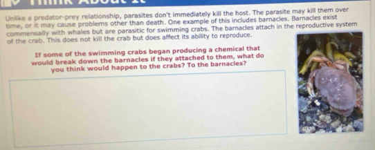 Unlike a predator-prey relationship, parasites don't immediately kill the host. The parasite may kill them over 
time, or it may cause problems other than death. One example of this includes barnacles. Barnacles exist 
commensally with whales but are parasitic for swimming crabs. The barnacles attach in the reproductive system 
of the crab. This does not kill the crab but does affect its ability to reproduce. 
If some of the swimming crabs began producing a chemical that 
would break down the barnacles if they attached to them, what do 
you think would happen to the crabs? To the barnacles?