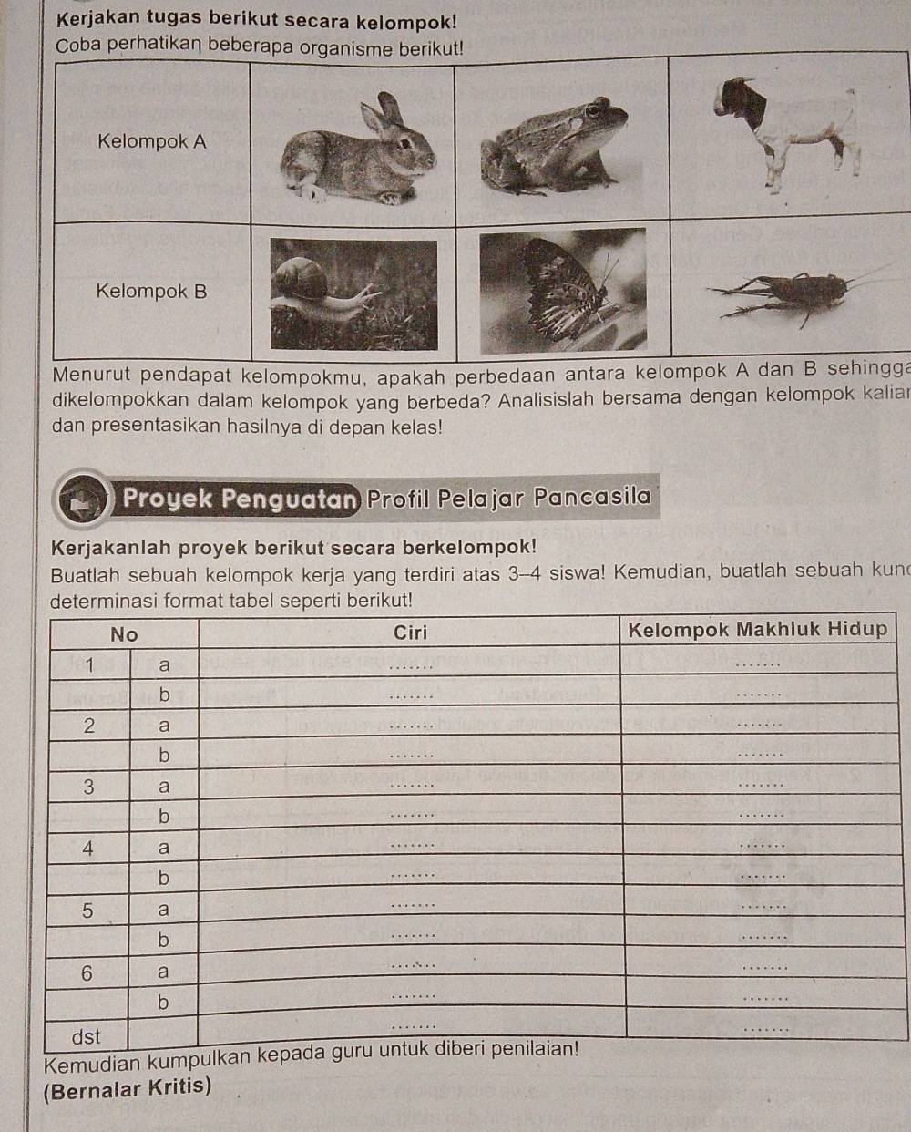 Kerjakan tugas berikut secara kelompok! 
Coba perhatikan be 
t pendapat kelompokmu, apakah perbedaanga 
dikelompokkan dalam kelompok yang berbeda? Analisislah bersama dengan kelompok kaliar 
dan presentasikan hasilnya di depan kelas! 
Proyek Penguatan Profil Pelajar Pancasila 
Kerjakanlah proyek berikut secara berkelompok! 
Buatlah sebuah kelompok kerja yang terdiri atas 3-4 siswa! Kemudian, buatlah sebuah kun 
Kemudi 
(Bernalar Kritis)