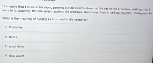 "I imagine that I'm up in his room, peering out his window down at the car in the driveway, wishing that t
were in it, watching the rain splash against the windows, streaming down in jerking rivulets." (paragraph 9)
What is the meaning of nvulets as it is used in the sentence?
$ flourishes
thuds
crall flows
slow waves