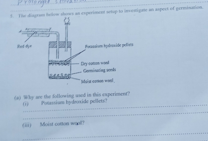 gram below shows an experiment setup to investigate an aspect of germination. 
(a) Why are the following used in this experiment? 
(i) Potassium hydroxide pellets? 
_ 
(iii) Moist cotton wool? 
_