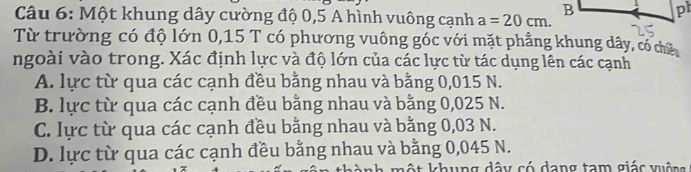 Một khung dây cường độ 0,5 A hình vuông cạnh a=20cm. 
Từ trường có độ lớn 0, 15 T có phương vuông góc với mặt phẳng khung dây, có chủ
ngoài vào trong. Xác định lực và độ lớn của các lực từ tác dụng lên các cạnh
A. lực từ qua các cạnh đều bằng nhau và bằng 0,015 N.
B. lực từ qua các cạnh đều bằng nhau và bằng 0,025 N.
C. lực từ qua các cạnh đều bằng nhau và bằng 0,03 N.
D. lực từ qua các cạnh đều bằng nhau và bằng 0,045 N.
chung dây có dang tam giác vuộng