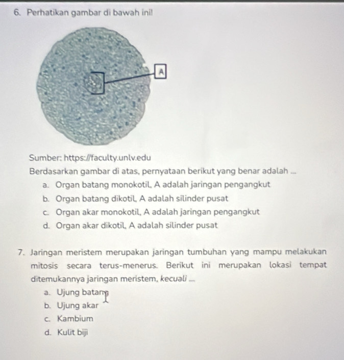 Perhatikan gambar di bawah ini!
Sumber: https://faculty.unlv.edu
Berdasarkan gambar di atas, pernyataan berikut yang benar adalah ...
a. Organ batang monokotil, A adalah jaringan pengangkut
b. Organ batang dikotil, A adalah silinder pusat
c. Organ akar monokotil, A adalah jaringan pengangkut
d. Organ akar dikotil, A adalah silinder pusat
7. Jaringan meristem merupakan jaringan tumbuhan yang mampu melakukan
mitosis secara terus-menerus. Berikut ini merupakan lokasi tempat
ditemukannya jaringan meristem, kecuali ...
a. Ujung batam
b. Ujung akar
c. Kambium
d. Kulit biji