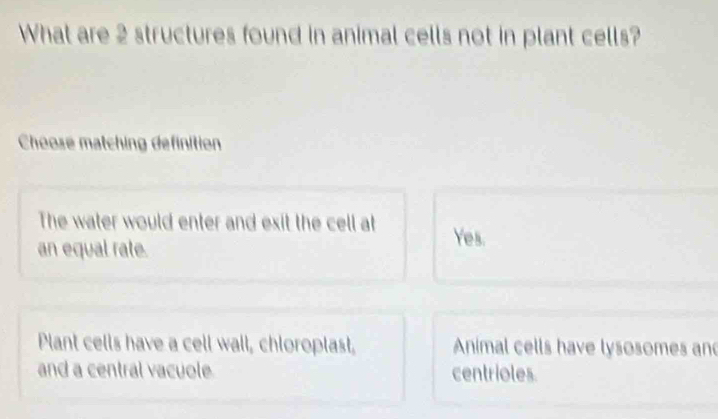 What are 2 structures found in animal cells not in plant cells?
Choose matching definition
The water would enter and exit the cell at Yes.
an equal rate.
Plant cells have a cell wall, chloroplast, Animal cells have lysosomes and
and a central vacuole centrioles.