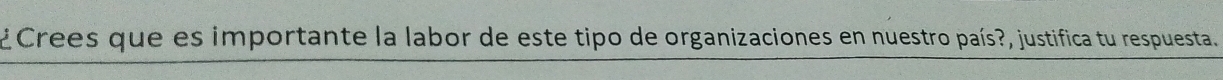 ¿Crees que es importante la labor de este tipo de organizaciones en nuestro país?, justifica tu respuesta.
