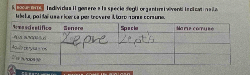 6, DOCUMENTA Individua il genere e la specie degli organismi viventi indicati nella 
tabella, poi faí una ricerca per trovare il loro nome comune. 
Orientamen