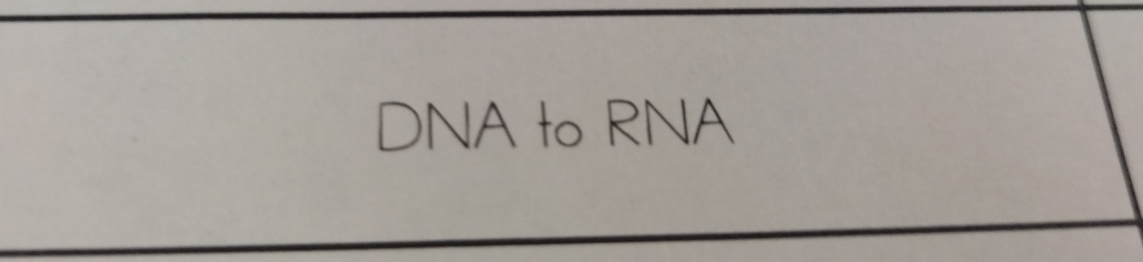 DNA to RNA