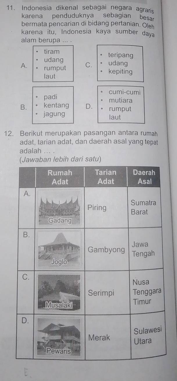 Indonesia dikenal sebagai negara agraris
karena penduduknya sebagian besar
bermata pencarian di bidang pertanian. Oleh
karena itu, Indonesia kaya sumber daya
alam berupa ... .
tiram teripang
udang C. udang
A. rumput kepiting
laut
cumi-cumi
padi
mutiara
B. kentang D. rumput
jagung laut
12. Berikut merupakan pasangan antara rumah
adat, tarian adat, dan daerah asal yang tepat
adalah .. .
tu