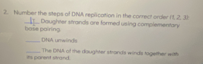 Number the steps of DNA replication in the correct order  1,2,3
_Daughter strands are formed using complementary 
base pairing. 
_DNA unwinds 
_The DNA of the daughter strands winds together with 
its parent strand.