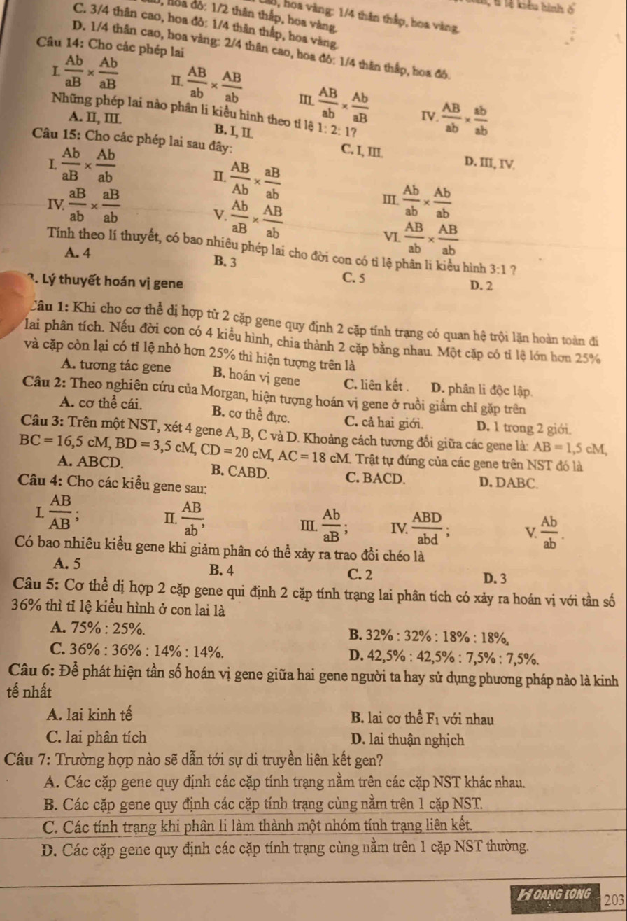 lệ kiểu hình ố
J, lba đỏ: 1/2 thân thắp, hoa vàng
B, hoa vàng: 1/4 thân thập, hoa vàng.
C. 3/4 thân cao, hoa đỏ: 1/4 thân thập, hoa vàng
Câu 14: Cho các phép lai
D. 1/4 thân cao, hoa vàng: 2/4 thân cao, hoa đô: 1/4 thân thắp, hoa đô.
I  Ab/aB *  Ab/aB  I  AB/ab *  AB/ab  III  AB/ab *  Ab/aB   AB/ab *  ab/ab 
Những phép lai nào phân li kiều hình theo ti 161:2:1?
A. II, III.
IV.
B. I, II.
Câu 15: Cho các phép lai sau đây: D. III, IV
I  Ab/aB *  Ab/ab 
C. I, III.
Ⅱ  AB/Ab *  aB/ab 
IV  aB/ab *  aB/ab   Ab/ab *  Ab/ab 
V  Ab/aB *  AB/ab 
III.
VL  AB/ab *  AB/ab 
Tính theo lí thuyết, có bao nhiêu phép lai cho đời con có tỉ lệ phân li kiều hình 3:1 ?
A. 4 B. 3
?. Lý thuyết hoán vị gene
C. 5 D. 2
Câu 1: Khi cho cơ thể dị hợp tử 2 cặp gene quy định 2 cặp tính trạng có quan hệ trội lặn hoàn toàn đi
lai phân tích. Nếu đời con có 4 kiểu hình, chia thành 2 cặp bằng nhau. Một cặp có tỉ lệ lớn hơn 25%
và cặp còn lại có tỉ lệ nhỏ hơn 25% thì hiện tượng trên là
A. tương tác gene B. hoán vị gene C. liên kết . D. phân li độc lập.
Câu 2: Theo nghiên cứu của Morgan, hiện tượng hoán vị gene ở ruồi giấm chỉ gặp trên
A. cơ thể cái.
B. cơ thể đực. C. cả hai giới. D. 1 trong 2 giới.
Câu 3: Trên một NST, xét 4 gene A, B, C và D. Khoảng cách tương đổi giữa các gene là: AB=1,5cM,
BC=16,5 cM ,BD=3,5cM,CD=20 cM AC=18 cM. Trật tự đúng của các gene trên NST đó là
A. ABCD. B. CABD. C. BACD. D. DABC.
Câu 4: Cho các kiểu gene sau:
L  AB/AB  、
II.  AB/ab , II.  Ab/aB ; IV.  ABD/abd ; V  Ab/ab .
Có bao nhiêu kiểu gene khi giảm phân có thể xảy ra trao đồi chéo là
A. 5 B. 4
C. 2 D. 3
Câu 5: Cơ thể dị hợp 2 cặp gene qui định 2 cặp tính trạng lai phân tích có xảy ra hoán vị với tần số
36% thì tỉ lệ kiểu hình ở con lai là
A. 75% : 25%. B. 32% : 32% : 18% : 18%
C. 36% : 36% : 14% :1 4%. D. 42,5% : 42,5% : 7,5% :7,5% .
Câu 6: Để phát hiện tần số hoán vị gene giữa hai gene người ta hay sử dụng phương pháp nào là kinh
tế nhất
A. lai kinh tế B. lai cơ thể F_1 với nhau
C. lai phân tích D. lai thuận nghịch
Câu 7: Trường hợp nào sẽ dẫn tới sự di truyền liên kết gen?
A. Các cặp gene quy định các cặp tính trạng nằm trên các cặp NST khác nhau.
B. Các cặp gene quy định các cặp tính trạng cùng nằm trên 1 cặp NST.
C. Các tính trạng khi phân li làm thành một nhóm tính trạng liên kết.
D. Các cặp gene quy định các cặp tính trạng cùng nằm trên 1 cặp NST thường.
HOANGLONG
203