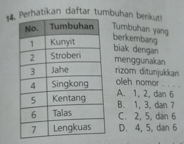 erhatikan daftar tumbuhan berikut!
Tumbuhan yang
berkembang
biak dengan
menggunakan
rizom ditunjukkan
oleh nomor . . . .
A. 1, 2, dan 6
B. 1, 3, dan 7
C. 2, 5, dan 6
D. 4, 5, dan 6