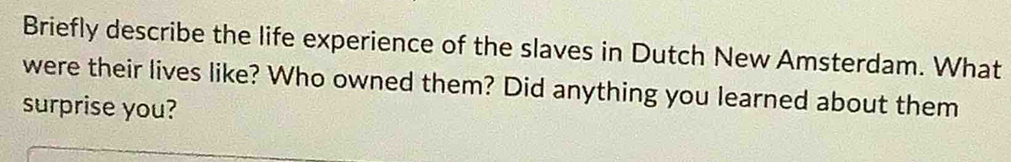 Briefly describe the life experience of the slaves in Dutch New Amsterdam. What 
were their lives like? Who owned them? Did anything you learned about them 
surprise you?