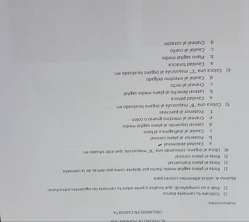 UBICANDO EN CAMISETA 
Instrucciones: 
1) Colócate tu camiseta blanca 
2) Pide a un compañer@, que localice y pinte sobre tu camiseta las siguientes estructuras: 
Alumno A: utiliza diferentes colores para 
1) Pinta el plano sagital medio (tanto por delante como por detrás de la camiseta. 
2) Pinta el plano transversal 
3) Pinta el plano coronal 
4) Ubica al órgano, colocando una “A” mayúscula, que este situado en: 
a. Cavidad abdominal 
b. Posterior al plano coronal 
c. Caudal al diafragma y al bazo 
d. Lateral izquierdo al plano sagital medio 
e. Craneal al intestino grueso o colon 
f. Posterior al páncreas 
5) Coloca una “B” mayúscula al órgano localizado en: 
a. Cavidad pélvica 
b. Lateral derecho al plano medio sagital 
c. Craneal al recto 
d. Caudal al intestino delgado 
6) Coloca una “C” mayúscula al órgano localizado en: 
a. Cavidad torácica 
b. Plano sagital medio 
c. Caudal al cuello 
d. Craneal al corazón