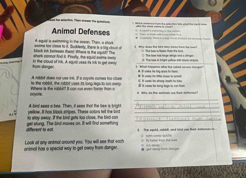 fead the selection. Then answer the questions. 1 Which sentence from the selection tells what the squid does
after the shark swims to close?
A squld is swimming in the ocean
Animal Defenses Then, a shark swims too close to it.
Suddenty, there is a big cloud of black ink between them!
A squid is swimming in the ocean. Then, a shark
swims too close to it. Suddenly, there is a big cloud of 2 Why does the bird stay away from the bee?
black ink between them! Where is the squid? The The bee is faster than the bird.
shark cannot find it. Finally, the squid swims away The bee has large wings and a stinger.
Saς Jeə'N in the cloud of ink. A squid uses its ink to get away The bee is bright yellow with black stripes.
from danger. 3 What happens after the rabbit senses danger?
A It uses its big ears to hear.
A rabbit does not use ink. If a coyote comes too close B It uses its little nose to smell.
C It uses its sharp teeth to bite.
to the rabbit, the rabbit uses its long legs to run away. D It uses its long legs to run fast.
Where is the rabbit? It can run even faster than a
coyote. 4 Why do the animals use their defenses?
_
A bird sees a bee. Then, it sees that the bee is bright_
_
_
yellow. It has black stripes. These colors tell the bird_
to stay away. If the bird gets too close, the bird can_
__
_
get stung. The bird moves on. It will find something
different to eat. 5 The squld, rabbit, and bird use their defenses to--
O swim away quickly
Look at any animal around you. You will see that each fly faster than the bee
animal has a special way to get away from danger. run away
get away from danger