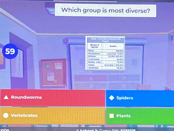 Which group is most diverse?
59
Roundworms Spiders
Vertebrates Plants