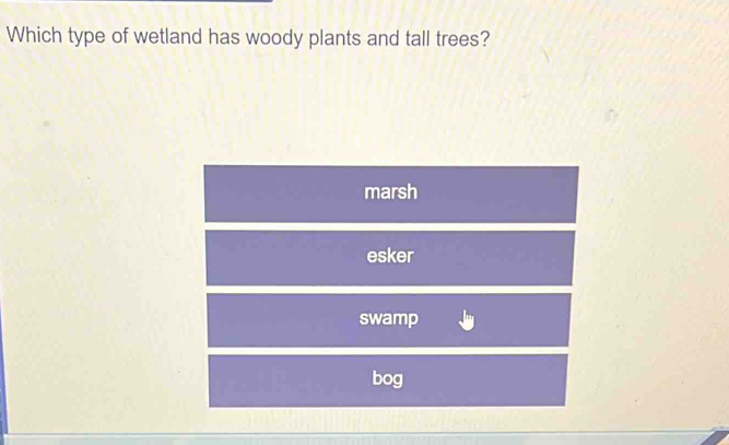 Which type of wetland has woody plants and tall trees?
marsh
esker
swamp
bog