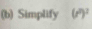 Simplify (t^2)^2