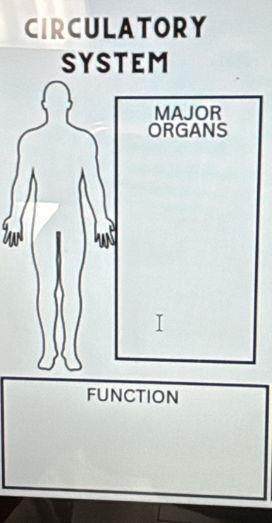 CIRCULATORY
SYSTEM
FUNCTION