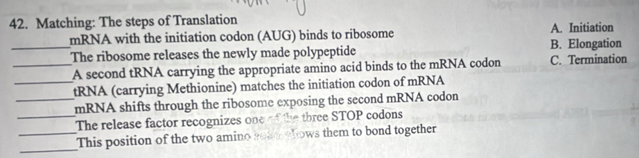 Matching: The steps of Translation
mRNA with the initiation codon (AUG) binds to ribosome A. Initiation
_The ribosome releases the newly made polypeptide B. Elongation
_A second tRNA carrying the appropriate amino acid binds to the mRNA codon C. Termination
_tRNA (carrying Methionine) matches the initiation codon of mRNA
_mRNA shifts through the ribosome exposing the second mRNA codon
_The release factor recognizes one of the three STOP codons
_
_This position of the two amino selsn allows them to bond together