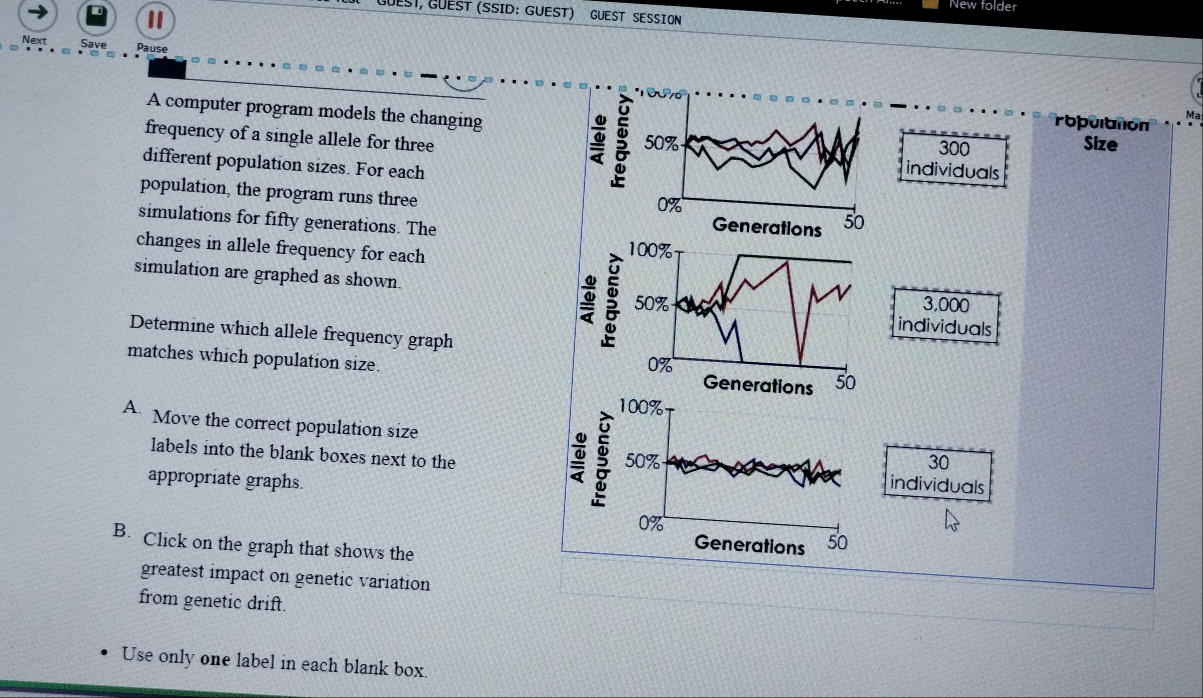 New folder 
GUEST, GUEST (SSID: GUEST) GUEST SESSION 
Next Save Pause 
A computer program models the changing 
M 
ropulatión 
frequency of a single allele for three 300
Size 
different population sizes. For each 
individuals 
population, the program runs three Generations 50
simulations for fifty generations. The 
changes in allele frequency for each 
simulation are graphed as shown. 
Determine which allele frequency graph 
individuals
3,000
matches which population size. Generations 
A Move the correct population size
30
labels into the blank boxes next to the individuals 
appropriate graphs. 
B. Click on the graph that shows the 
Generations 50
greatest impact on genetic variation 
from genetic drift. 
Use only one label in each blank box.