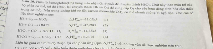 Cầu 10, Phân tử hemoglobin(Hb) trong máu nhận O_2 ở phối để chuyển thành HbO_2
bộ phận cơ thể, tại đó HbO_2 lại chuyển thành Hb và O_2 ( đề cung cấp O_2 Chất này theo máu tới các 
trong cơ thể). Nếu trong không khi có lẫn carbon monoxido (CO) cho các hoạt động sinh hóa cần thiết 
liệu thực nghiệm sau: , cơ thể nhanh chóng bị ngộ độc. Cho các số
Hb+O_2to HbO_2 △ _rH_(208)°=-33.05kJ (1)
Hb+COto HbCO △ _1H_(298)°=-47,28kJ (2)
HbO_2+COto HbCO+O_2 △ , H_(298)°=-14,23kJ (3)
HbCO+O_2to HbO_2+CO^(H_(200)°=14,23kJ (4) 
Liên hệ giữa các mức độ thuận lợi các phản ứng (qua △ _f)H_(298)°) ) với những vấn đề thực nghiệm nêu trên. 
Câu U. Vẽ sợ đổ biểu diễn hiển thiên enthalpy cho các phân ý