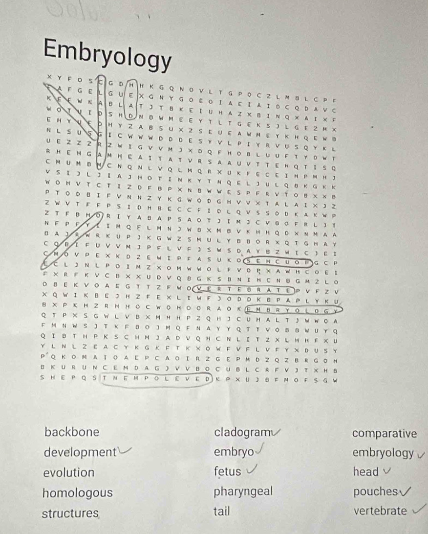 Embryology
X Y F O s G D H H Κ G Q Ν  DV L T G P O C Z  L M B L C P F
A F G ε L G U E |X G Ν Y G Ο Ε Ο Ι AΕ Ι A Ι D C Q D A V C
w
E w A B L A Τ J Τ B Κ E Ι U H A Z X B Ι Ν Q ×A  Ι × F
D S HD NB  W M E E YT L T G E K S J L G E Z M X
E H Y wep HY  A B SU X Z S Ε U E A W M ε Y Κ H Q  EW B
N LS U S G Ι C W  W W D  D D E S Y V L P Ι Y R V U SQ YΚ L
U ΕZ Z Z R Z W Ι G V V м J × D QF н Ο в L U UFT Υ Ο W T
R HE H G AM H E A Ι T A T ν R S A A U ν T T E H Q T I S Q
C M U M B M C Ν Q Ν L V Q L M Q R × U Κ F E C E I H P M H 
VS Ι 】 L 】 ΙA J HO T ΙΝ Κ Y Τ  Ν Q EL J UL Q B K G  K K
W Ο H V T C T Ι2 D F B P ×  N B W W  E S P F R V T Ο B X X B
P Τ OD B Ι F V N Ν Z Y Κ G W O D G H VV × T A L A Ι X J Z
Z W V T F F P S I D H BE C C F I  D L Q V S S D D K A K W P
Z T F B H O R ΙY A B A P S A O T J I M J C Ⅴ B O FR L 】  T
N F P F Y Ι  I M Q FL M N J W BX M B V K H H Q  D × Ν M A A
B A J R W R K U PJ K G  W Z S M U L Y B BO R XQ T G  N A Y
C Q  B I F U V V M J P F L V F J S W S D A Y B Z W Ι C J E I
C MO V P E × K D 2 E W Ι P F A S U Κ O(S Ε H C UO P)G с P
EC L 】 N L PΟ Ι M Z × ΟM W WΟ L F VD R × A WH CΟ Ε Ι
F × R F KV C B × × U D V Q B G Κ S B Ν Ι н C N B G M 2L O
O B E K V O A E G T T Z F W O V ε R T E B R A T E P V F Z V
X Q W I K B E J H Z F E X L I W F J O D D Κ B P A P L Y Κ U
B X P K H 2 R H Hо C WO HоO R AO ΚΕм Β RYO L0GY
Q T P X S G W L V B X M H H P Z Q H J C U H A L T J W W O A
F M N W S J T K F B O J M Q F N AY Y Q T T V  Ο B B W U Y Q
Q I B T H P K S C H M J A D V Q H C N L I T Z X L H H F X U
Y L Ν L Z E A C Y  Κ G  Κ  F TΚ X O W FV  F L VF Y XD U S Y
P' Q Κ Ο M A Ι Ο A E P C A Ο Ι R 2 G E P M D2Q Z B R G O H
B K U RU N C E M  D A G J V V BO CU B L C R F V J T × H B
S HΕ P QS T ΝΕΜ Pο LΕ νΕD к P ×UJ B F ΜοF SGW
backbone cladogram comparative
development embryo embryology
evolution fetus head
homologous pharyngeal pouches
structures tail vertebrate