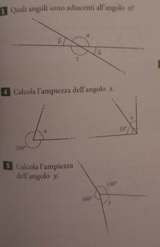 Quali angoli sono adiacenti all’angolo α?
4 Calcola l’ampiezza dell’angolo x.
E Calcola lampiezza
dell’angolo y.