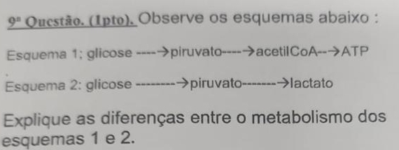 _ 9^n Qucstão. (1pto). Observe os esquemas abaixo : 
Esquema 1; glicose ----→piruvato----→acetilCoA--→ATP 
Esquema 2: glicose → piruvato- lactato 
Explique as diferenças entre o metabolismo dos 
esquemas 1 e 2.