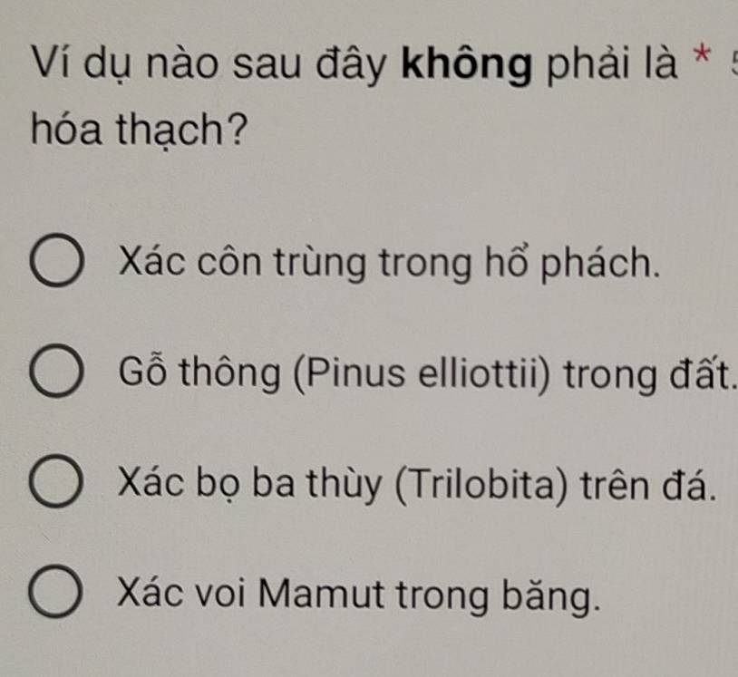 Ví dụ nào sau đây không phải là *
hóa thạch?
Xác côn trùng trong hổ phách.
Gỗ thông (Pinus elliottii) trong đất.
Xác bọ ba thùy (Trilobita) trên đá.
Xác voi Mamut trong băng.