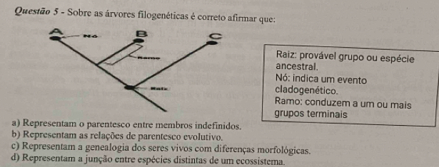 Sobre as árvores filogenéticas é correto afirmar que:
Raiz: provável grupo ou espécie
ancestral.
Nó: indica um evento
cladogenético.
Ramo: conduzem a um ou mais
grupos terminais
a) Representam o parentesco entre membros indefinidos.
b) Representam as relações de parentesco evolutivo.
c) Representam a genealogia dos seres vivos com diferenças morfológicas.
d) Representam a junção entre espécies distintas de um ecossistema.