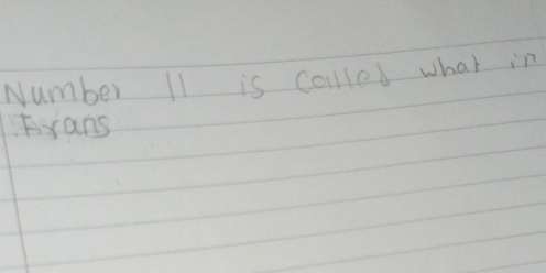 Number I1 is collled what in 
Frans