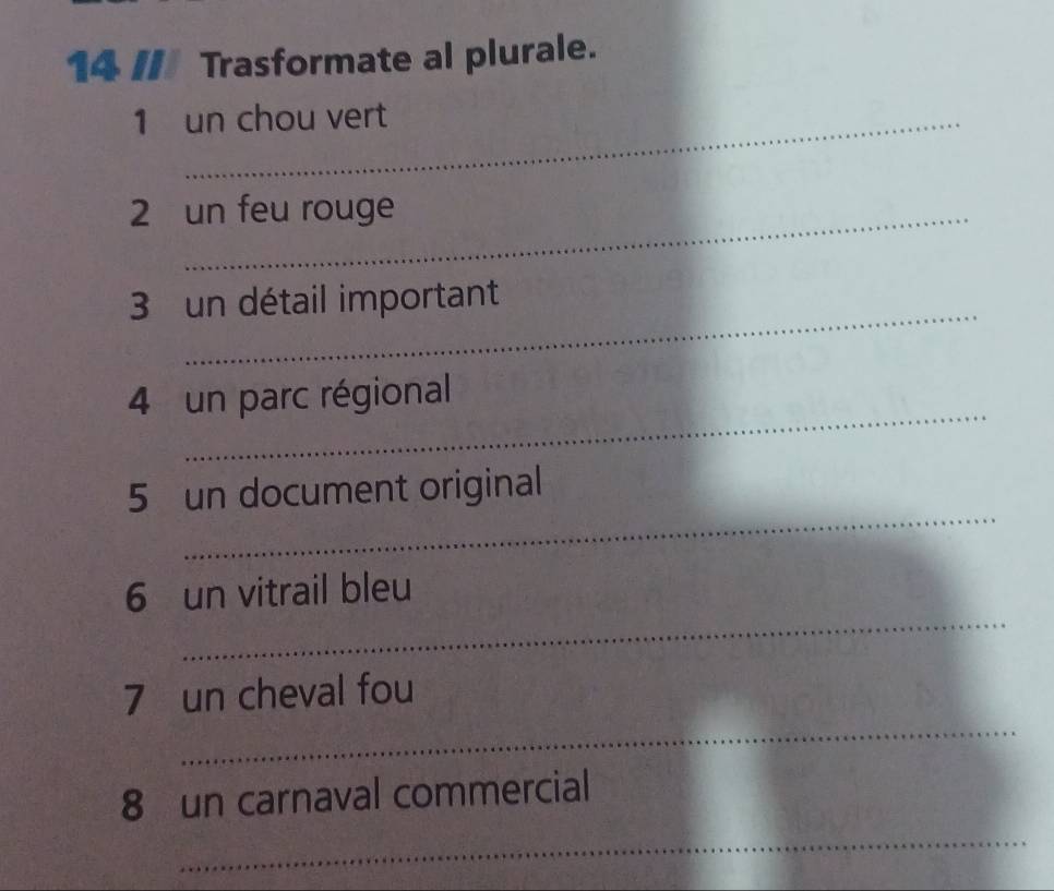 14 // Trasformate al plurale. 
1 un chou vert 
2 un feu rouge 
_ 
3 un détail important 
_ 
4 un parc régional 
_ 
5 un document original 
_ 
6 un vitrail bleu 
_ 
7 un cheval fou 
_ 
8 un carnaval commercial