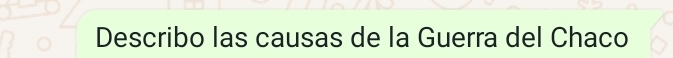 Describo las causas de la Guerra del Chaco