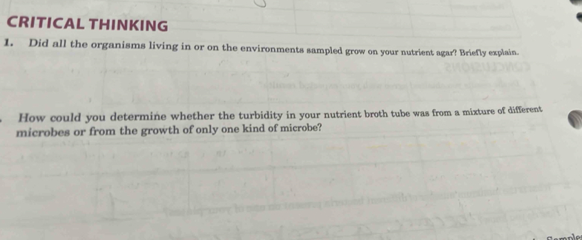 CRITICAL THINKING 
1. Did all the organisms living in or on the environments sampled grow on your nutrient agar? Briefly explain. 
How could you determine whether the turbidity in your nutrient broth tube was from a mixture of different 
microbes or from the growth of only one kind of microbe?