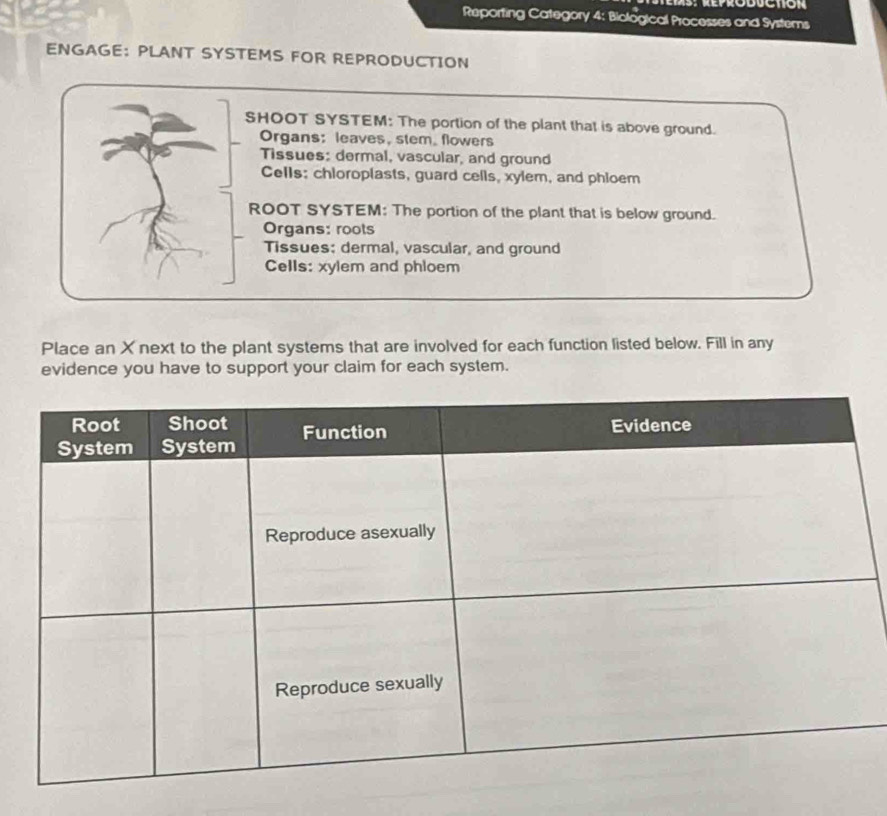 Reporting Category 4: Biological Processes and Systems 
ENGAGE： PLANT SYSTEMS FOR REPRODUCTION 
SHOOT SYSTEM: The portion of the plant that is above ground. 
Organs: leaves, stem. flowers 
Tissues: dermal, vascular, and ground 
Cells; chioroplasts, guard cells, xylem, and phloem 
ROOT SYSTEM: The portion of the plant that is below ground. 
Organs: roots 
Tissues: dermal, vascular, and ground 
Cells: xylem and phloem 
Place an X next to the plant systems that are involved for each function listed below. Fill in any 
evidence you have to support your claim for each system.