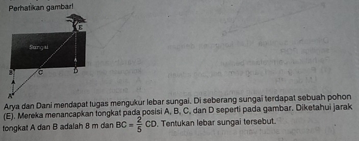 Perhatikan gambar! 
Arya dan Dani mendapat tugas mengukur lebar sungai. Di seberang sungai terdapat sebuah pohon 
(E). Mereka menancapkan tongkat pada posisi A, B, C, dan D seperti pada gambar. Diketahui jarak 
tongkat A dan B adalah 8 m dan BC= 2/5 CD. Tentukan lebar sungai tersebut.