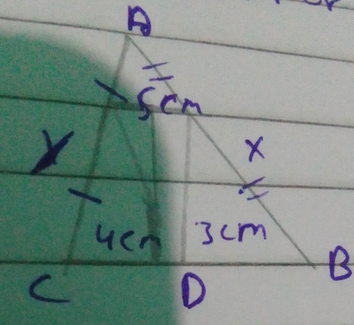 A
scn
X
uen 3cm
B
C
D