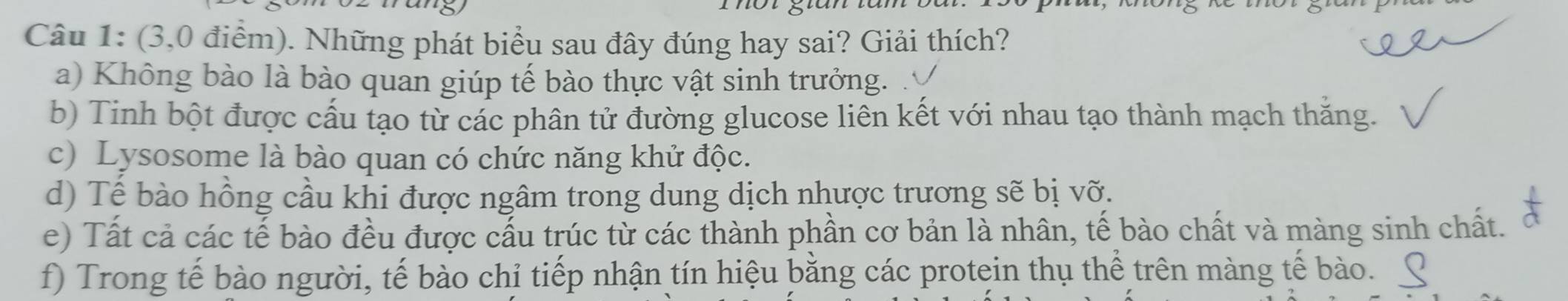 (3,0 điểm). Những phát biểu sau đây đúng hay sai? Giải thích?
a) Không bào là bào quan giúp tế bào thực vật sinh trưởng.
b) Tinh bột được cấu tạo từ các phân tử đường glucose liên kết với nhau tạo thành mạch thăng.
c) Lysosome là bào quan có chức năng khử độc.
d) Tề bào hồng cầu khi được ngâm trong dung dịch nhược trương sẽ bị vỡ.
e) Tất cả các tế bào đều được cấu trúc từ các thành phần cơ bản là nhân, tế bào chất và màng sinh chất.
f) Trong tế bào người, tế bào chỉ tiếp nhận tín hiệu bằng các protein thụ thể trên màng tế bào.